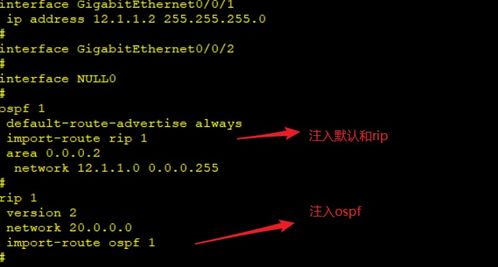 OSPF進階篇 深入探索高級網絡技術